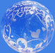 18-Inch Clear Bubble Balloon with Heart