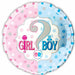 Girl or Boy Gender Reveal 18" Foil Balloon