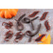 "Mesh Bag Of 20 Realistic Centipedes For Play And Education"