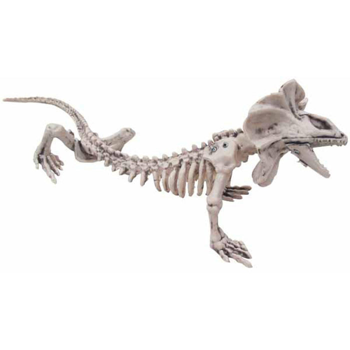 "Realistic Skeleton Lizard Replica"