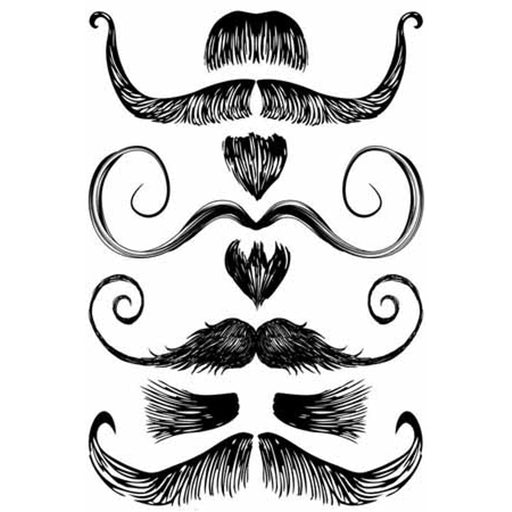 "Salvador Dali Inspired Stachetats"