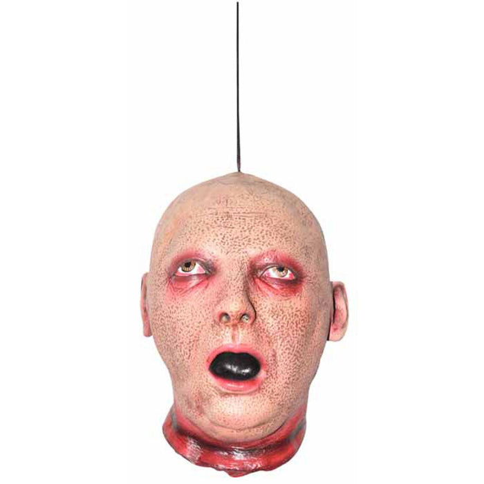 "Sleek Hanging Head For Elegant Home Decor"