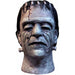 "Spooky House Of Frankenstein Mask"