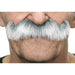 Stylish White & Grey Moustache