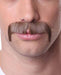 Brown Character Costume Moustache