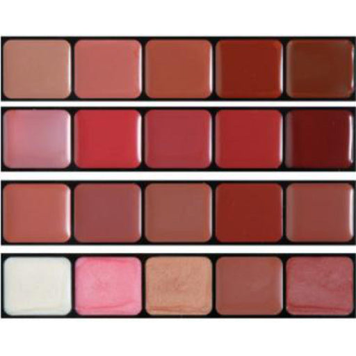 "Warm Lip Color Palette"