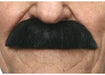 Black Costume Moustache, 10 cm x 3 cm