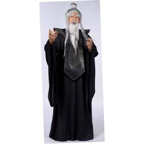 Sensei Master Adult Costume, One Size