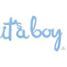 It's a Boy Pastel Blue Script Balloon