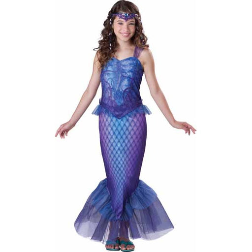 Mysterious Mermaid Girls' Costume, Large (12-14)