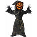 Bobble Head Pumpkin Child Costume, Medium 8-10