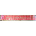 Miss Understood Red Pageant Sash