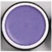 GRAFTOBIAN CREME LINER PL PASSIO