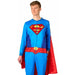 Suitmeister Superman Adult Onesie, Small