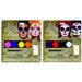 Day of the Dead Makeup Kit, Assorted Styles