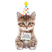 Cue the Cat Fetti 41-Inch Cat-Themed Foil Balloon