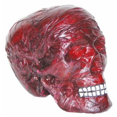 Burnt Skull Halloween Prop