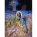 Moss Green Skeleton Grave Breaker Halloween Decoration