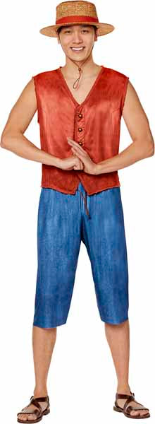 One Piece Luffy Adult Costume, Medium