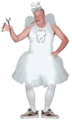 Tooth Fairy Adult Costume, One Size