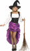 Women's Renaissance Witch Adult Costume, M/L
