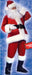 Rich Velvet Santa Suit in Red, Adult Size 40-48