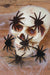 Mini Black Hairy Spider Decorations, 6 Pack