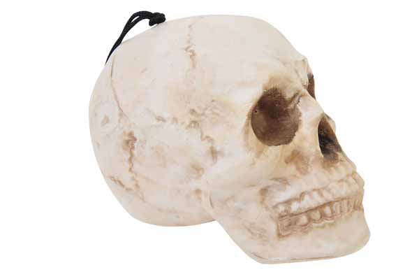 White Pearl Iridescent Skull Decoration, 4 Inch