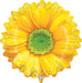Bright Blooms Daisy Shaped Foil Balloon