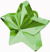 Green Star Balloon Weight, 170g