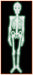 4 ft Glow-in-the-Dark Plastic Skeleton Halloween Decoration