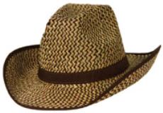 Two-Tone Western Hat with Brown Trim and Band