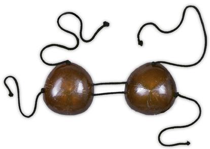 Coconut Bikini Top Luau Costume Accessory, 1 Count