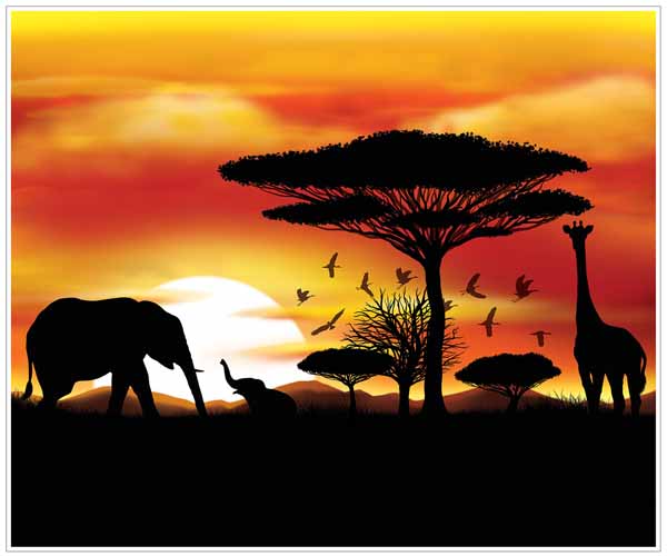 Safari Insta-Mural Wall Backdrop, 5 ft x 6 ft