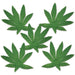 Tropical Fern Leaves, 20 Count