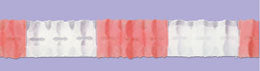 Dusty Rose & White Leaf Garland, 12 ft