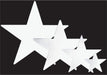 12-Inch White Foil Star Decoration