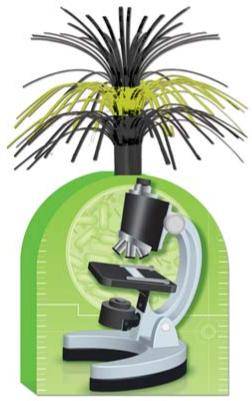 15-Inch Microscope Centerpiece