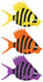 ASST LUAU FISH HATS ONE SIZE 1/PKG