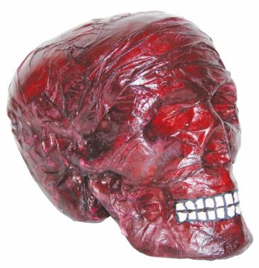 Burnt Skull Halloween Prop