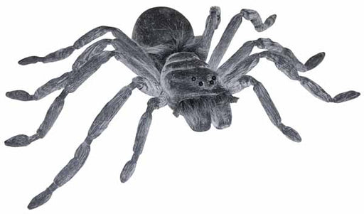 Gray Spider