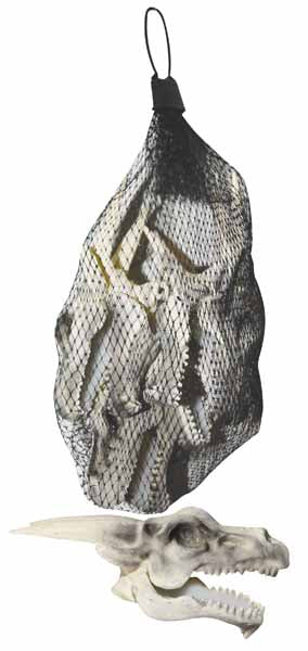 Bag of Dragon Skulls Halloween Decorations