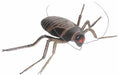 Small Cockroach Halloween Prop