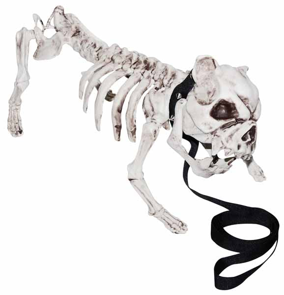 Skeleton Dog Halloween Decoration