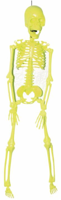 Neon Skeleton Halloween Decoration Assortment