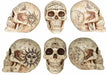 7-Inch Fortune Telling Skull Halloween Decoration