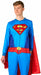 Superman Adult Onesie, Men's 2XL