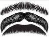 Stachetats Junior Gunther Stache