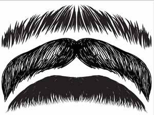 Stachetats Junior Gunther Stache