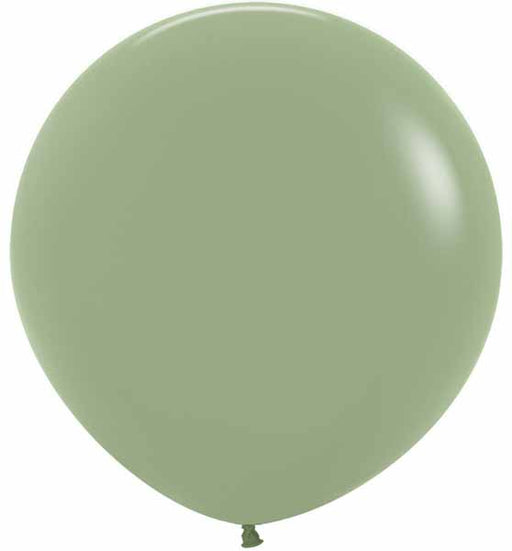 Sempertex 24-Inch Eucalyptus Latex Balloons, 10 Count